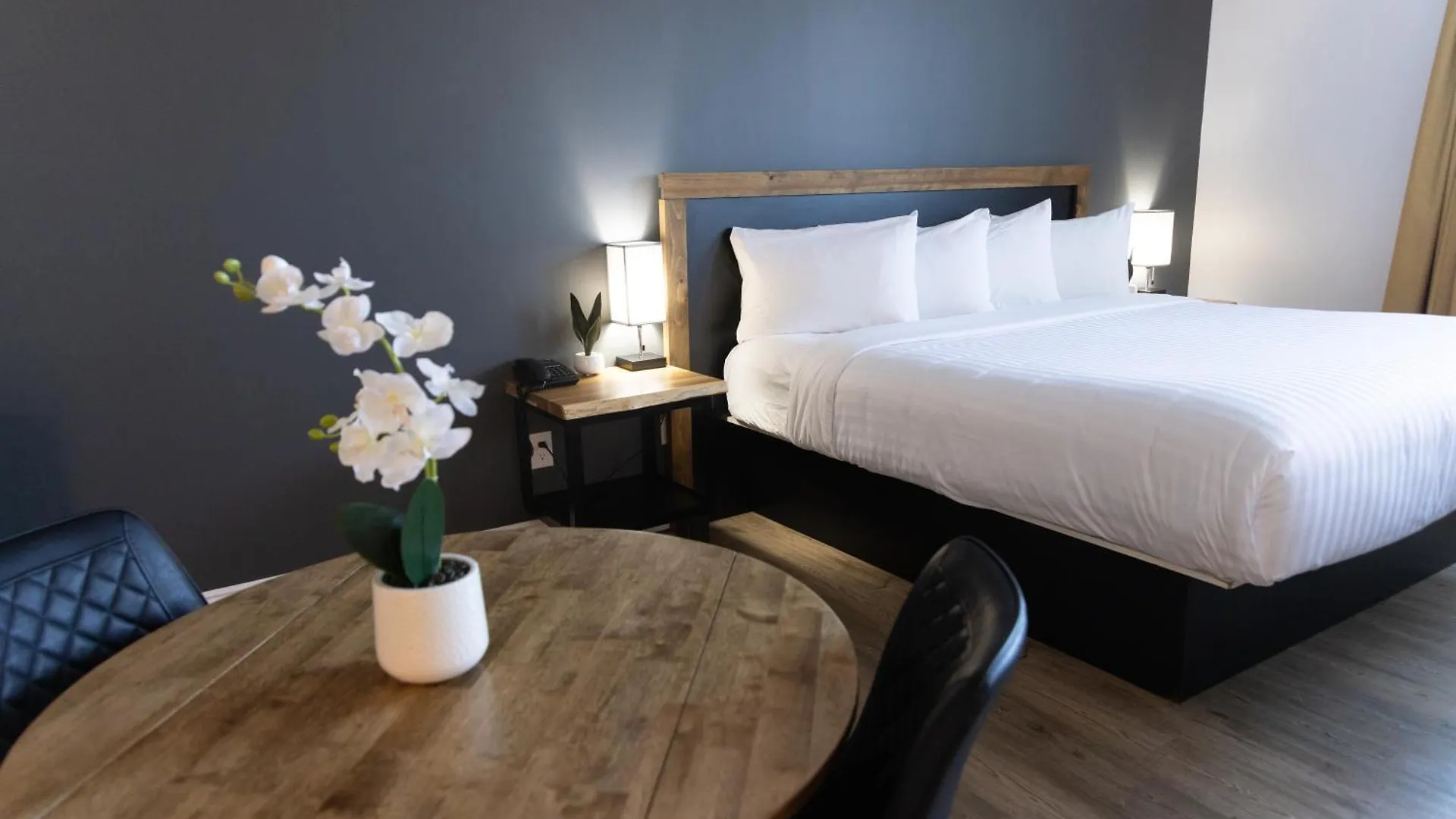 Motel Napoléon Masson-Masson-Angers